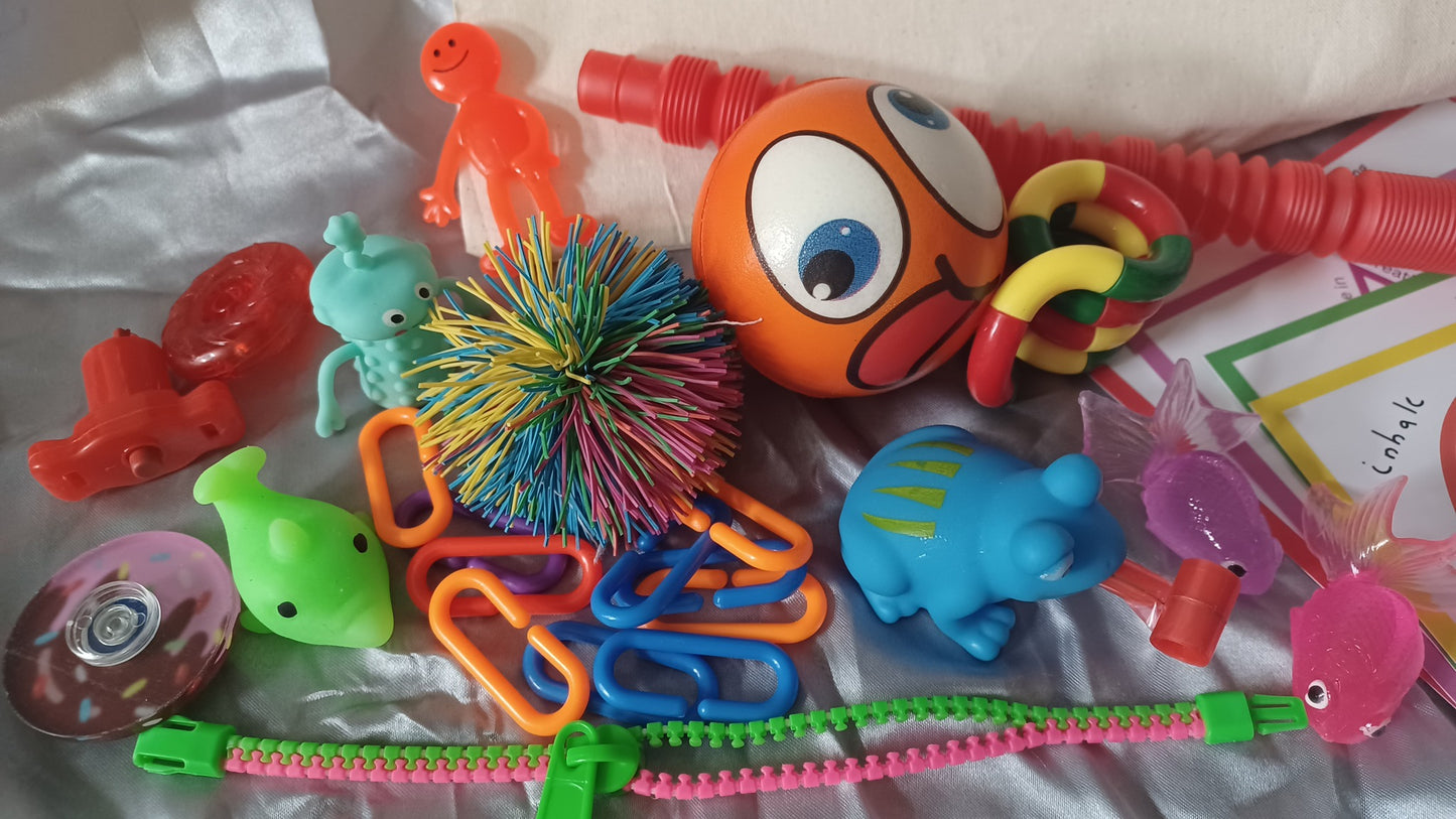 Emotional Regulation Calming Bag